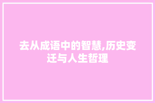 去从成语中的智慧,历史变迁与人生哲理 特写稿