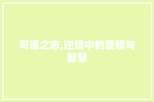 可遏之志,逆境中的坚韧与智慧