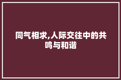 同气相求,人际交往中的共鸣与和谐
