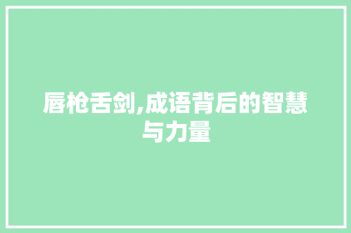 唇枪舌剑,成语背后的智慧与力量