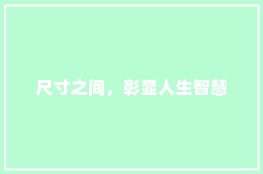 尺寸之间，彰显人生智慧