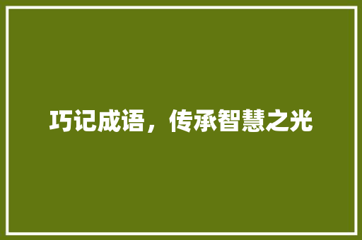 巧记成语，传承智慧之光