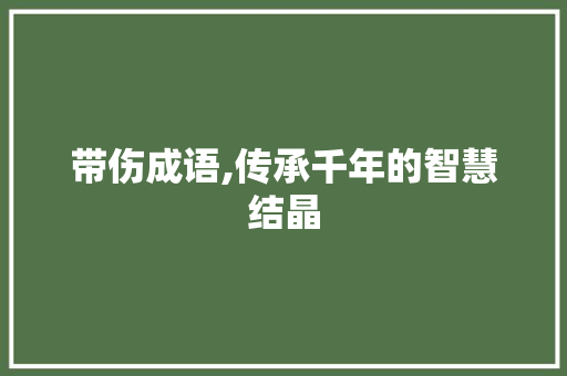 带伤成语,传承千年的智慧结晶