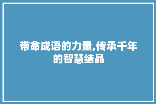 带命成语的力量,传承千年的智慧结晶