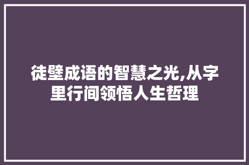 徒壁成语的智慧之光,从字里行间领悟人生哲理