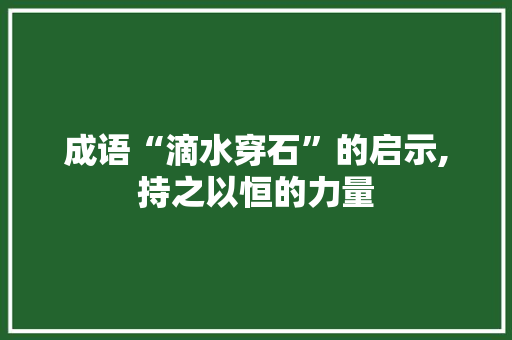 成语“滴水穿石”的启示,持之以恒的力量