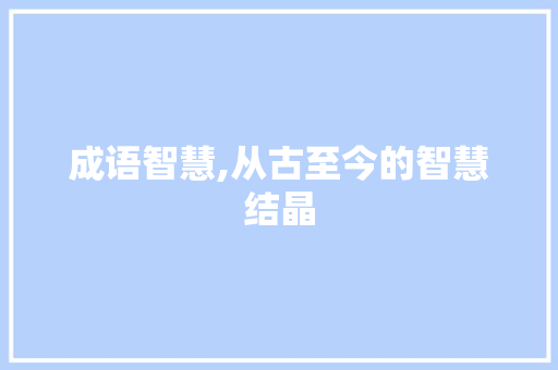 成语智慧,从古至今的智慧结晶