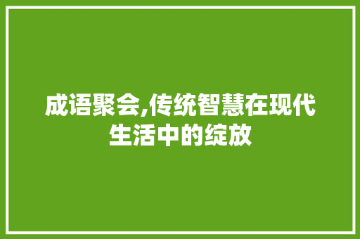 成语聚会,传统智慧在现代生活中的绽放