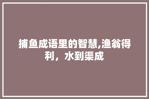 捕鱼成语里的智慧,渔翁得利，水到渠成