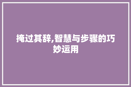 掩过其辞,智慧与步骤的巧妙运用