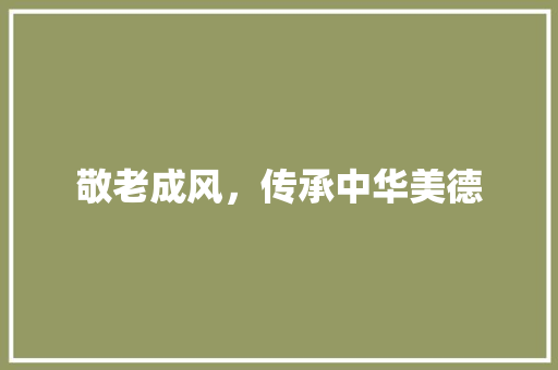 敬老成风，传承中华美德