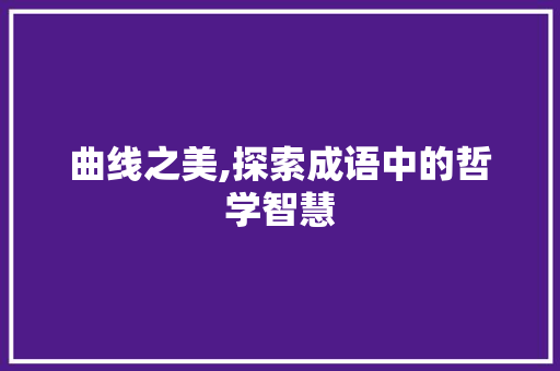 曲线之美,探索成语中的哲学智慧