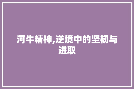河牛精神,逆境中的坚韧与进取