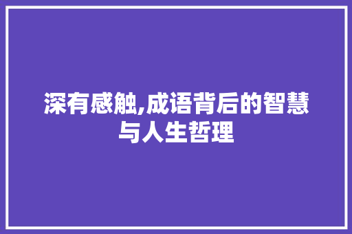 深有感触,成语背后的智慧与人生哲理