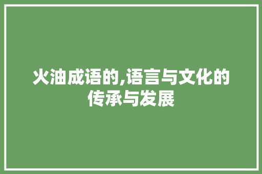 火油成语的,语言与文化的传承与发展