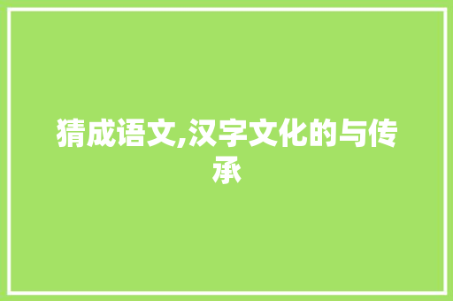 猜成语文,汉字文化的与传承
