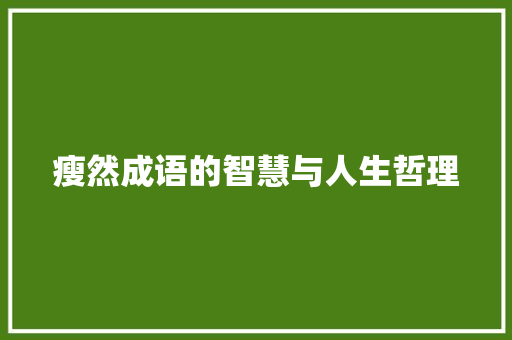 瘦然成语的智慧与人生哲理
