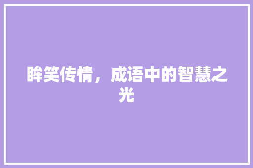 眸笑传情，成语中的智慧之光 工作类