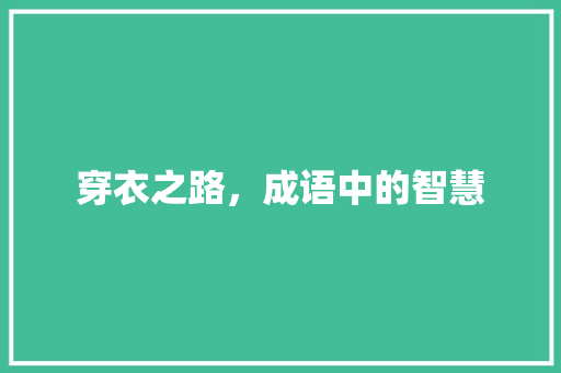 穿衣之路，成语中的智慧