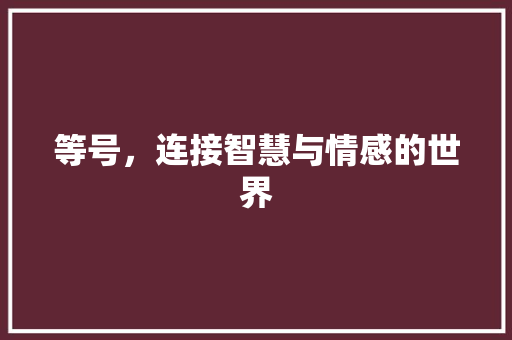 等号，连接智慧与情感的世界