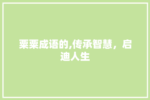 粟粟成语的,传承智慧，启迪人生