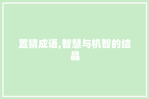 置猜成语,智慧与机智的结晶