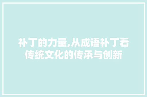补丁的力量,从成语补丁看传统文化的传承与创新