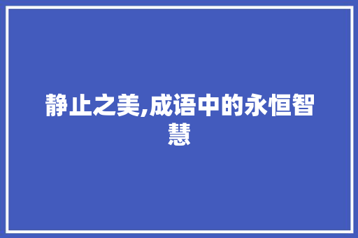 静止之美,成语中的永恒智慧