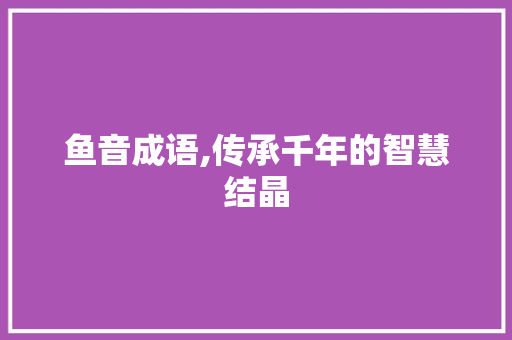 鱼音成语,传承千年的智慧结晶 工作报告
