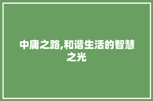 中庸之路,和谐生活的智慧之光