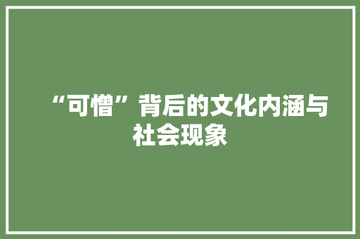 “可憎”背后的文化内涵与社会现象