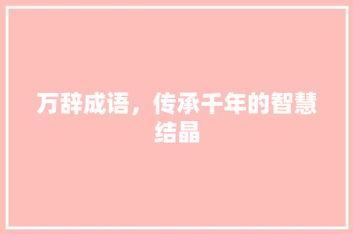 万辞成语，传承千年的智慧结晶