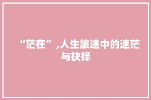 “茫在”,人生旅途中的迷茫与抉择
