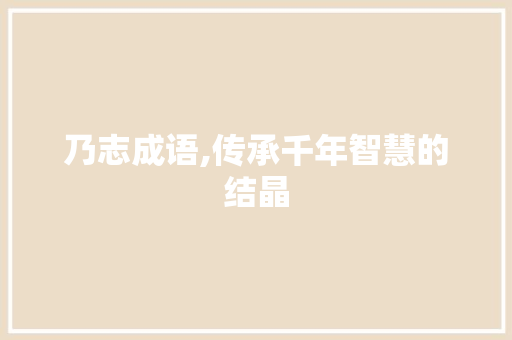 乃志成语,传承千年智慧的结晶