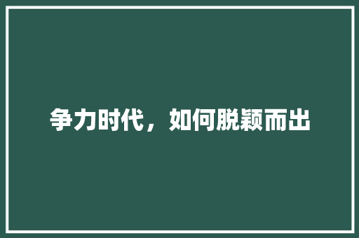 争力时代，如何脱颖而出