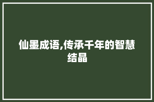 仙墨成语,传承千年的智慧结晶