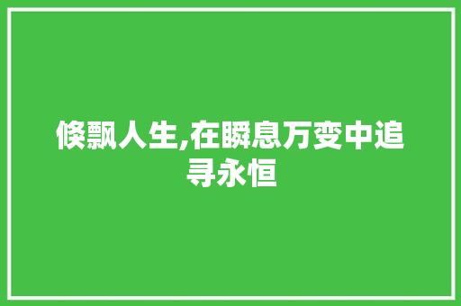 倏飘人生,在瞬息万变中追寻永恒