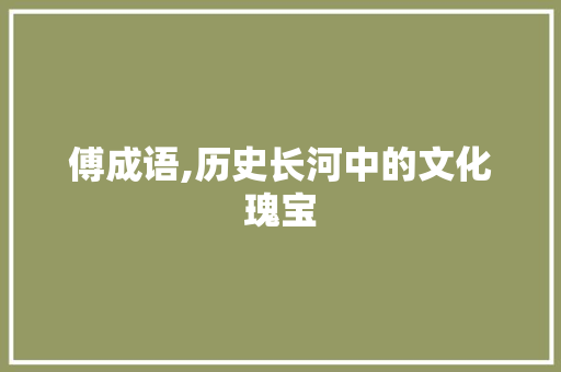 傅成语,历史长河中的文化瑰宝