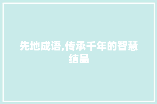 先地成语,传承千年的智慧结晶