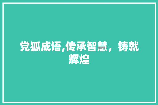 党狐成语,传承智慧，铸就辉煌