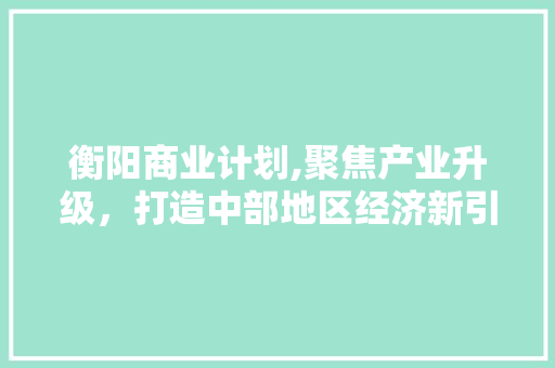衡阳商业计划,聚焦产业升级，打造中部地区经济新引擎