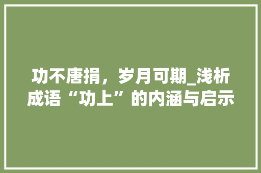 功不唐捐，岁月可期_浅析成语“功上”的内涵与启示 工作总结