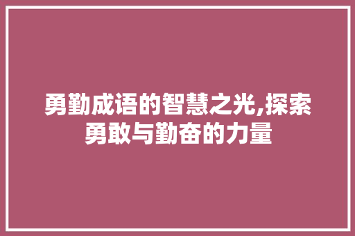 勇勤成语的智慧之光,探索勇敢与勤奋的力量