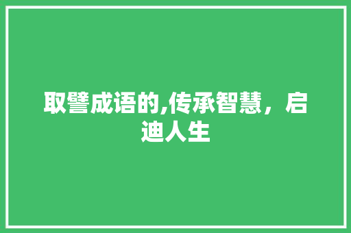 取譬成语的,传承智慧，启迪人生