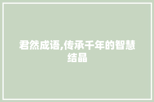 君然成语,传承千年的智慧结晶