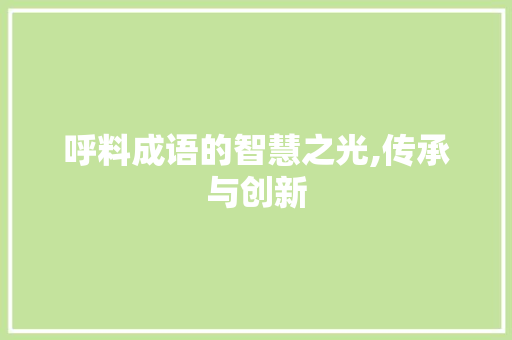 呼料成语的智慧之光,传承与创新