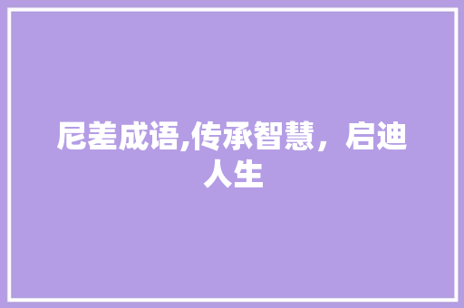 尼差成语,传承智慧，启迪人生