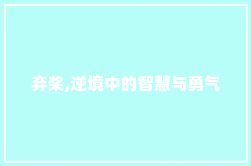 弃桨,逆境中的智慧与勇气