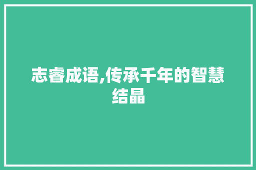 志睿成语,传承千年的智慧结晶