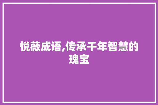 悦薇成语,传承千年智慧的瑰宝